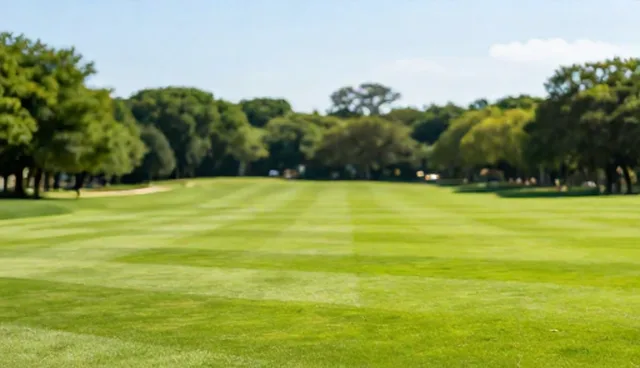 产品展示推广服务中性能优化的常见误区